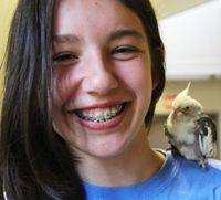 Photo of the cockatiel with the girl who found it