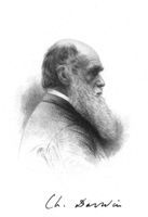 Charles Darwin illustration