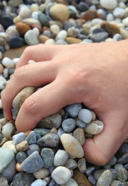 Life in a Glass House